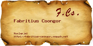 Fabritius Csongor névjegykártya